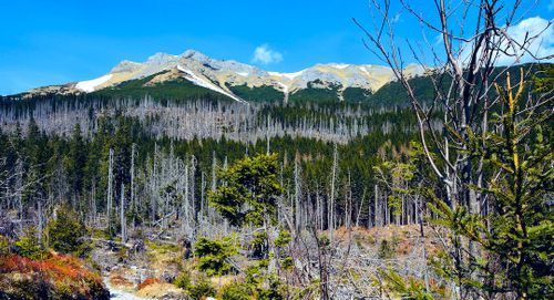 Solo Travel in Vysoke Tatry