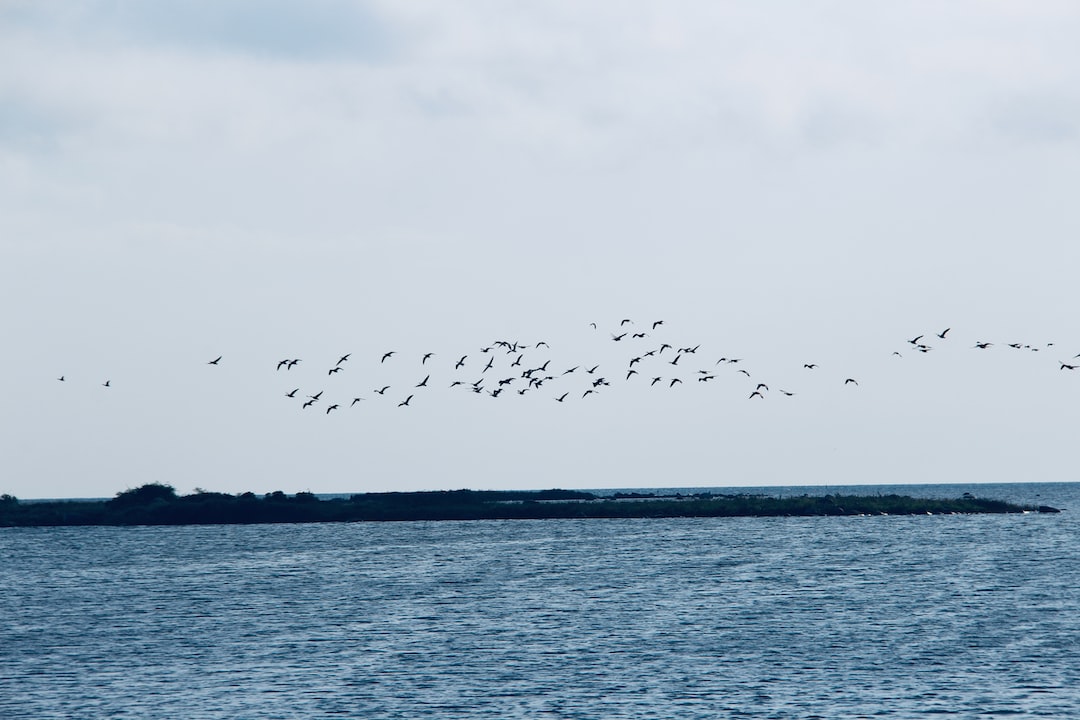 Is Kalmar safe?