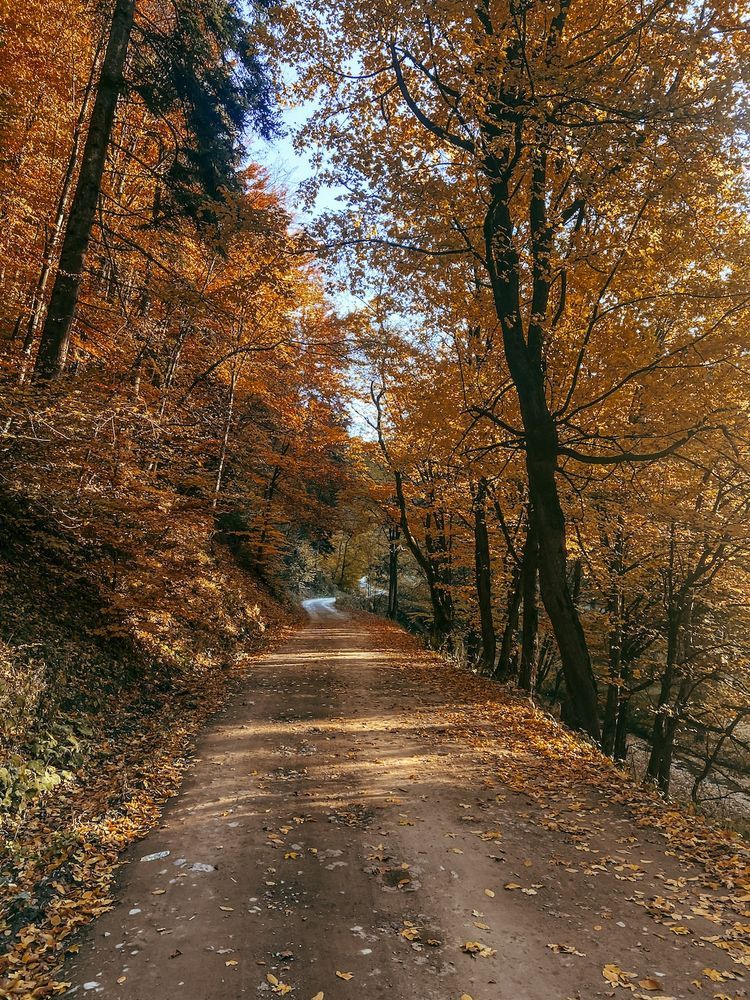 Piatra Neamt