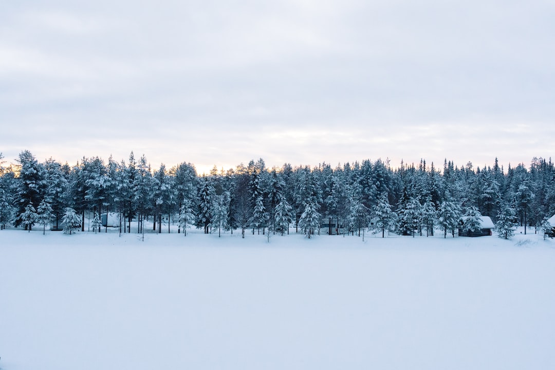 Salla