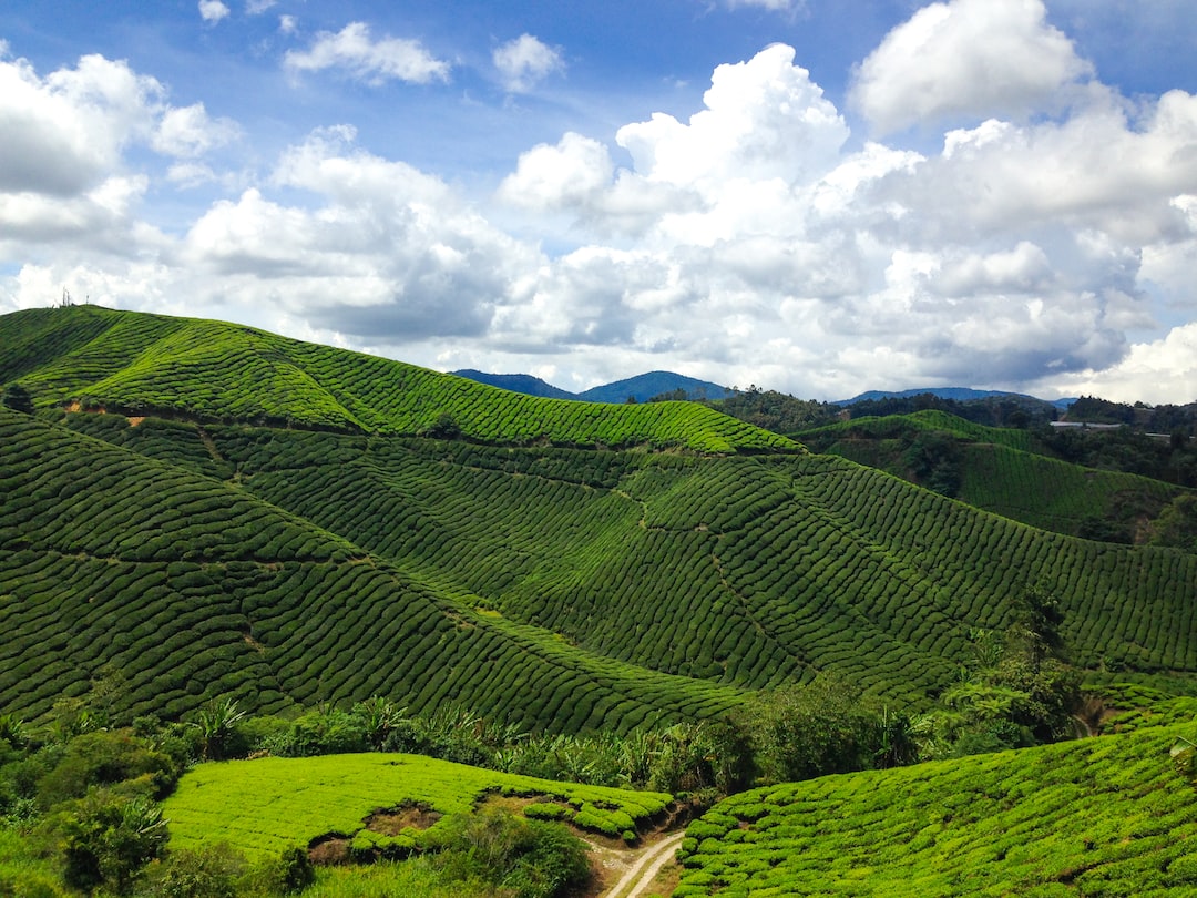 Is Cameron Highlands safe?