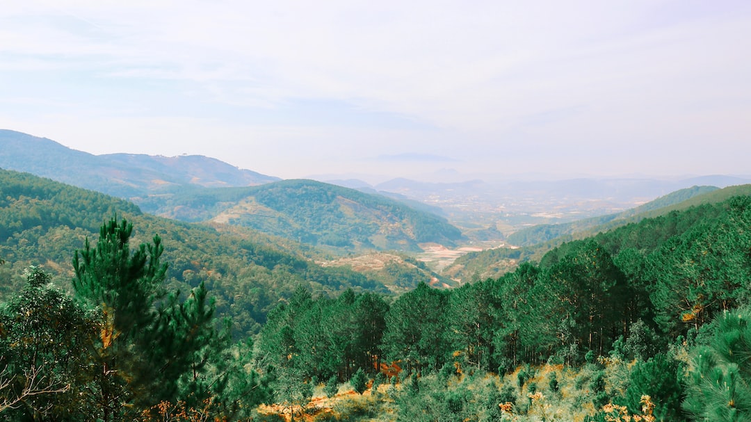 Hospitality exchange in Da Lat