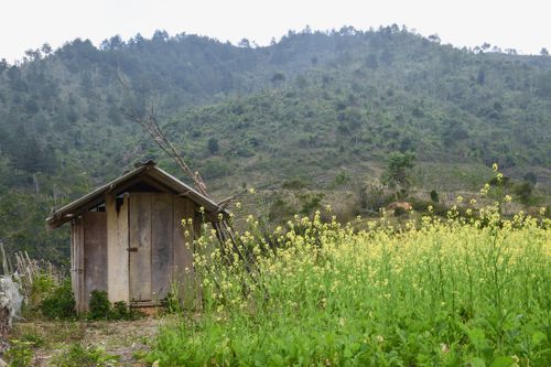 Crime rates in Mu Cang Chai