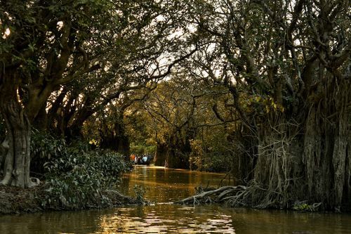 Solo Travel in Sylhet