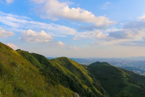 Crime in Kunming