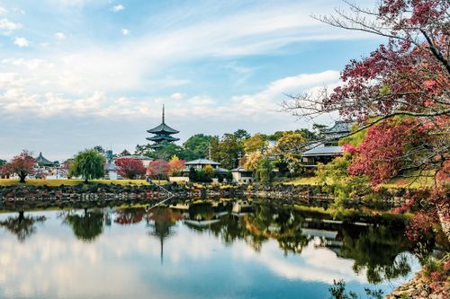 Crime rates in Nara