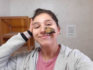 Cande