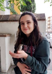 Elisa