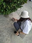 Elyana