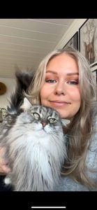 Lovisa