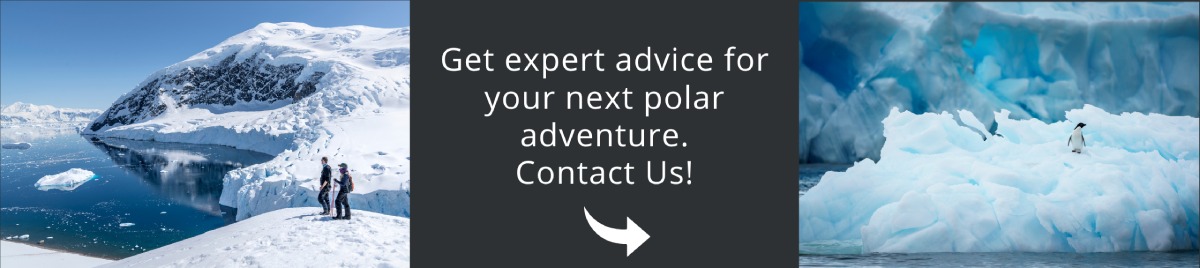 Come and visit Antarctica with us!
