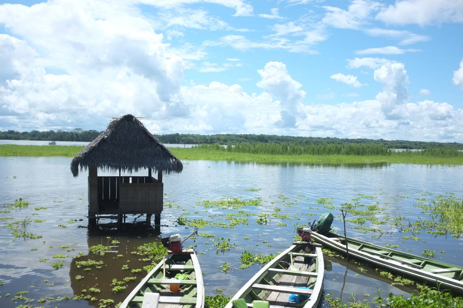 Amazon | Peru