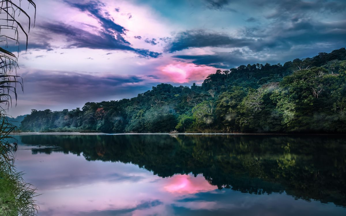 Amazon Rainforest | Peru