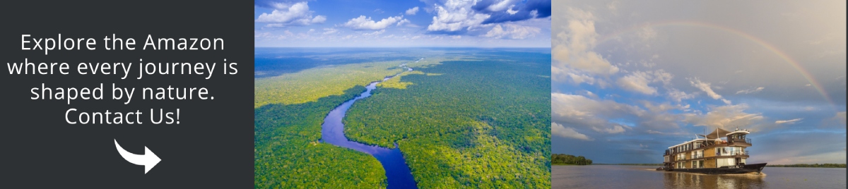 Visit Amazon with us!