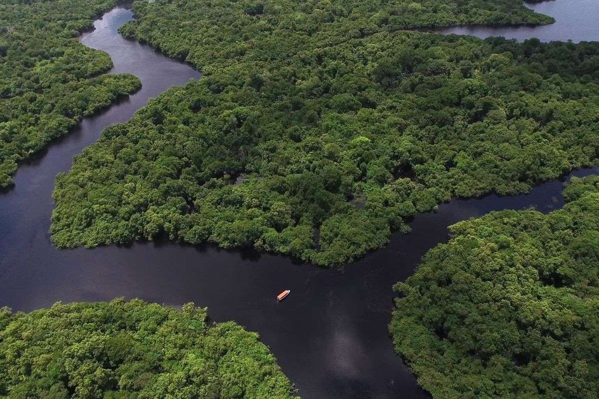 Amazon | Ecuador | South America