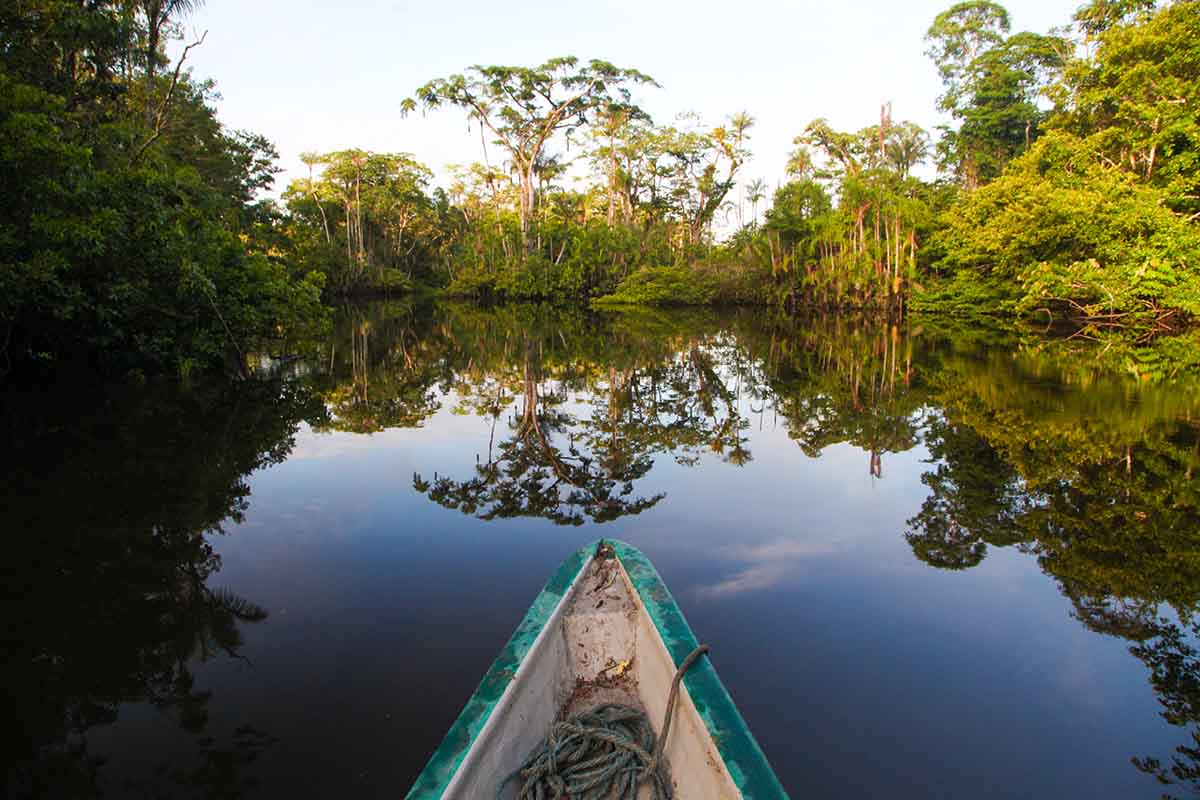 Amazon Ecuador