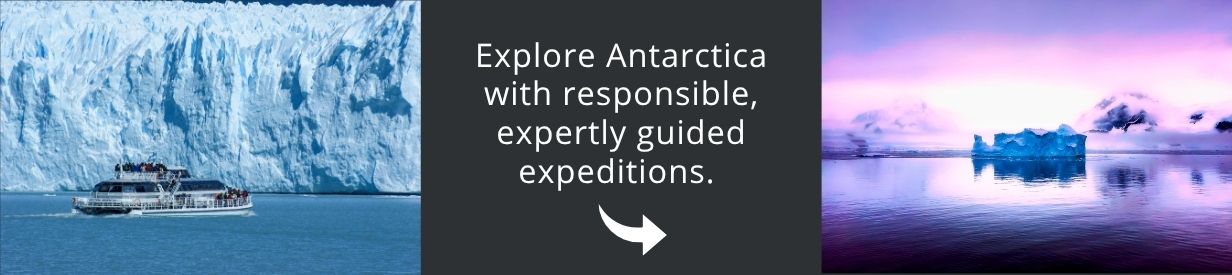 Visit Antarctica