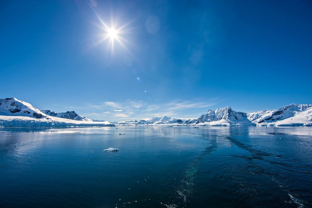 Best of Antarctica Expedition