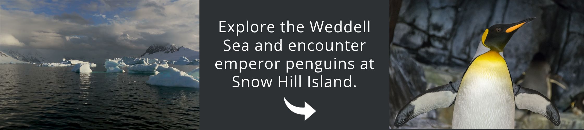 Visit Antarctica