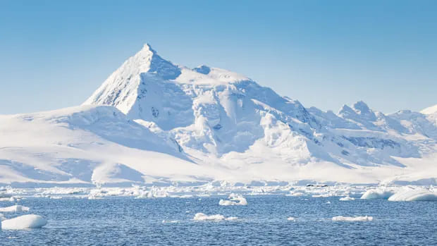 Stunning view of wildlife and icy landscapes in the Falklands, South Georgia, and Antarctica.