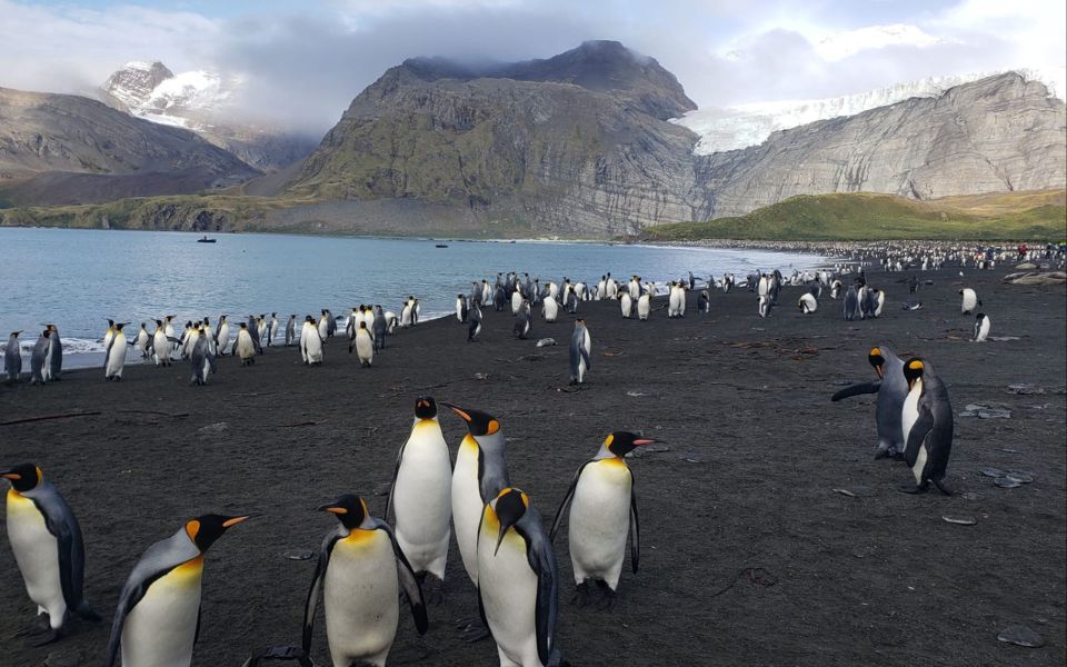 Antarctica the Favorite destination for Anita Speier - Anita Speier