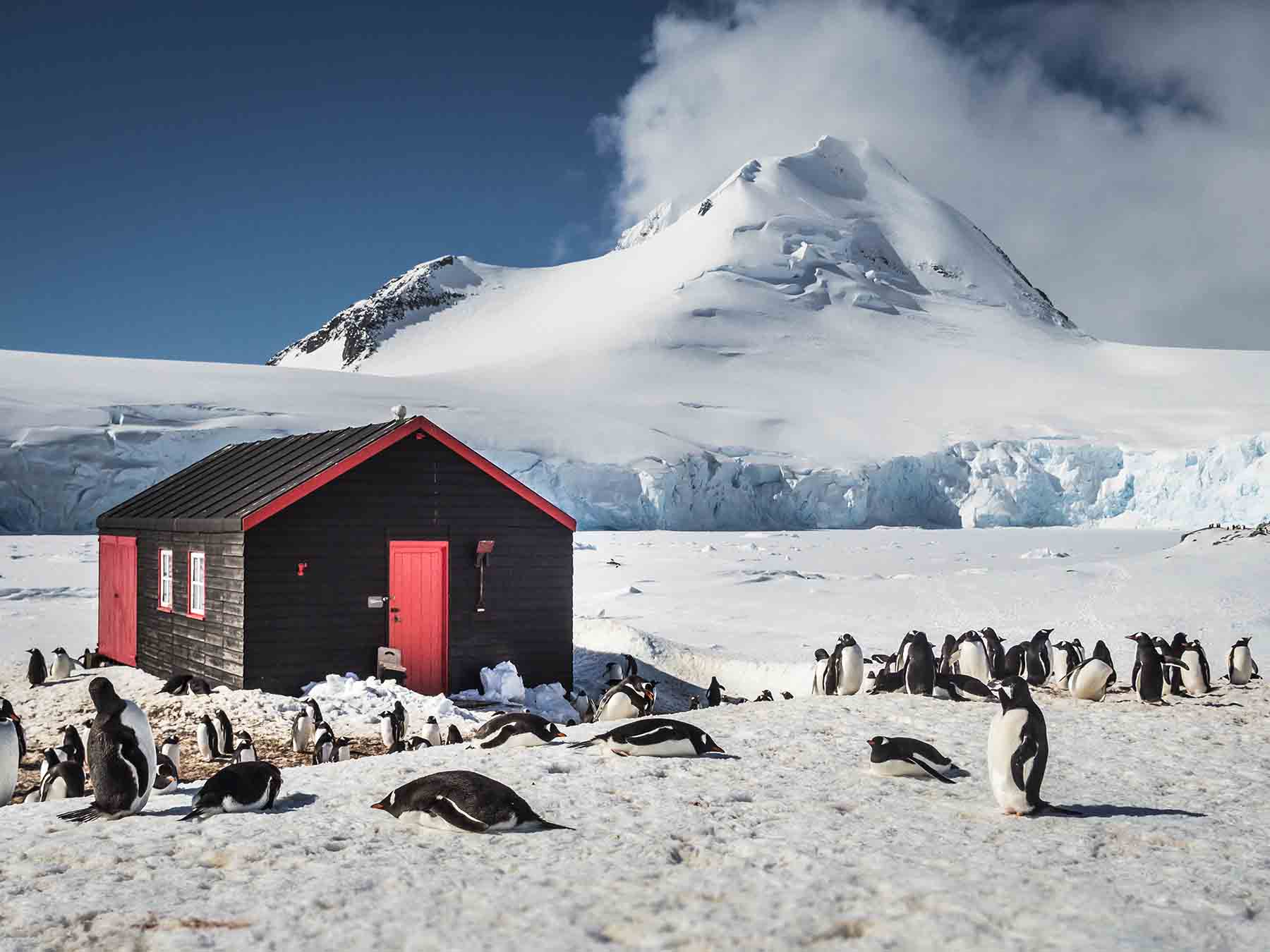 Port Lockroy  | Antarctic