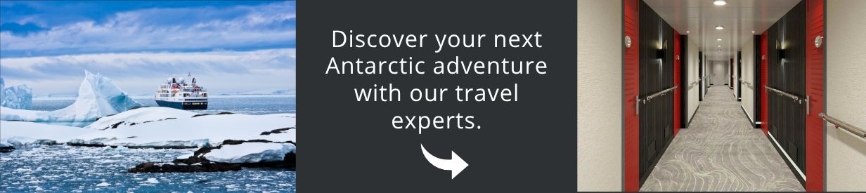 Come and visit Patagonia with us!