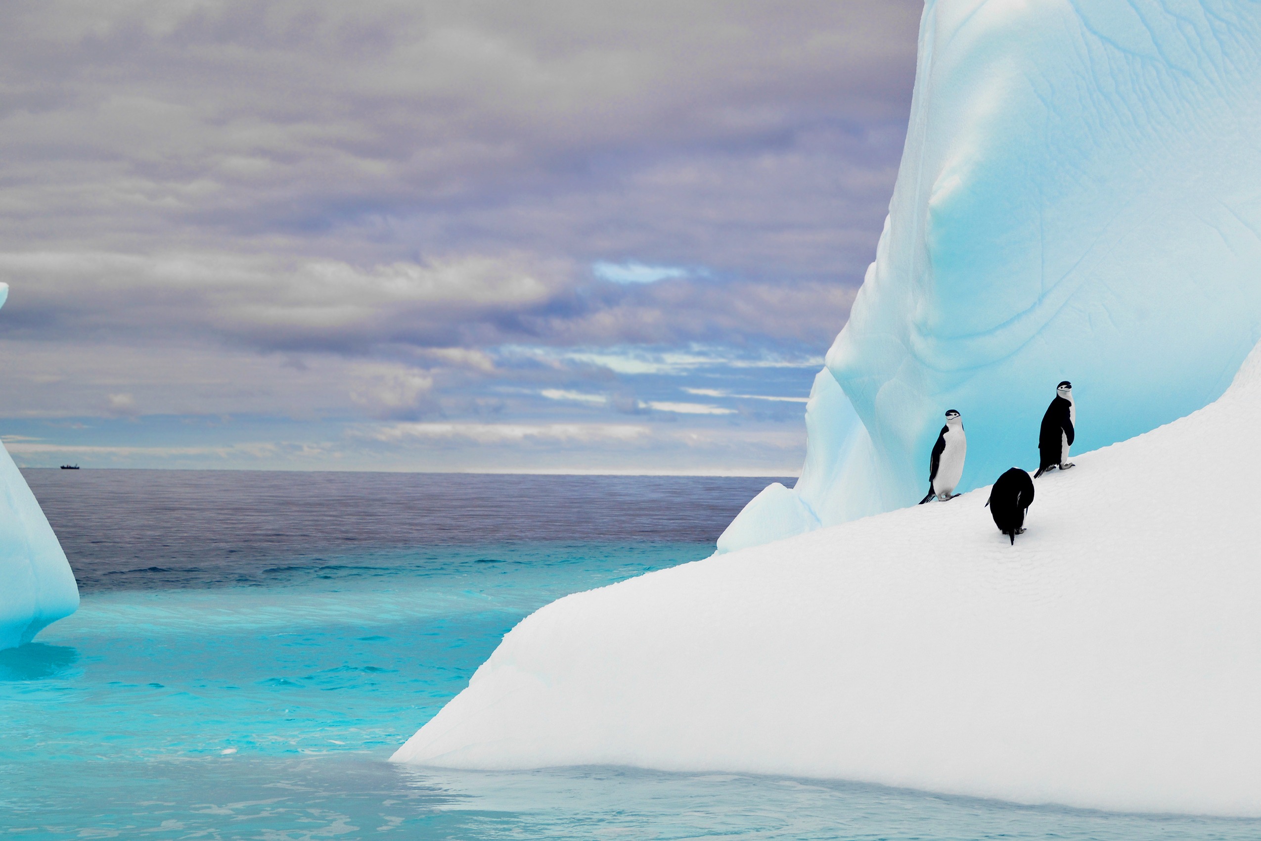 Iceberg | Antarctica