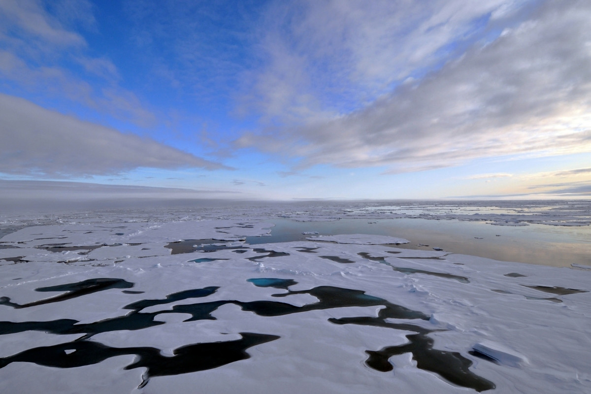 Svalbard Arctic Expedition