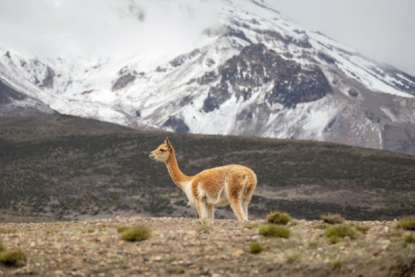 Ausangate Mountain - Peru
