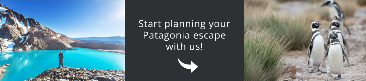 Come and visit Patagonia with us!
