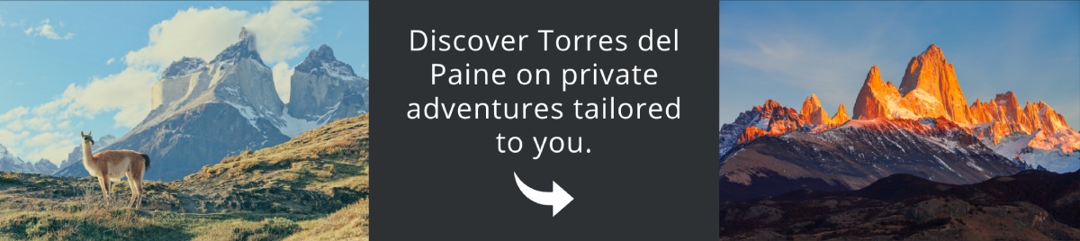 Visit Patagonia