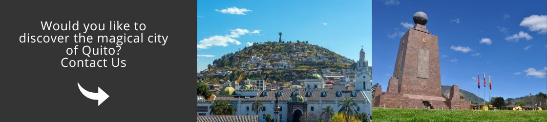 Visit Quito Contact Us