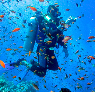 Bajo solmar diving