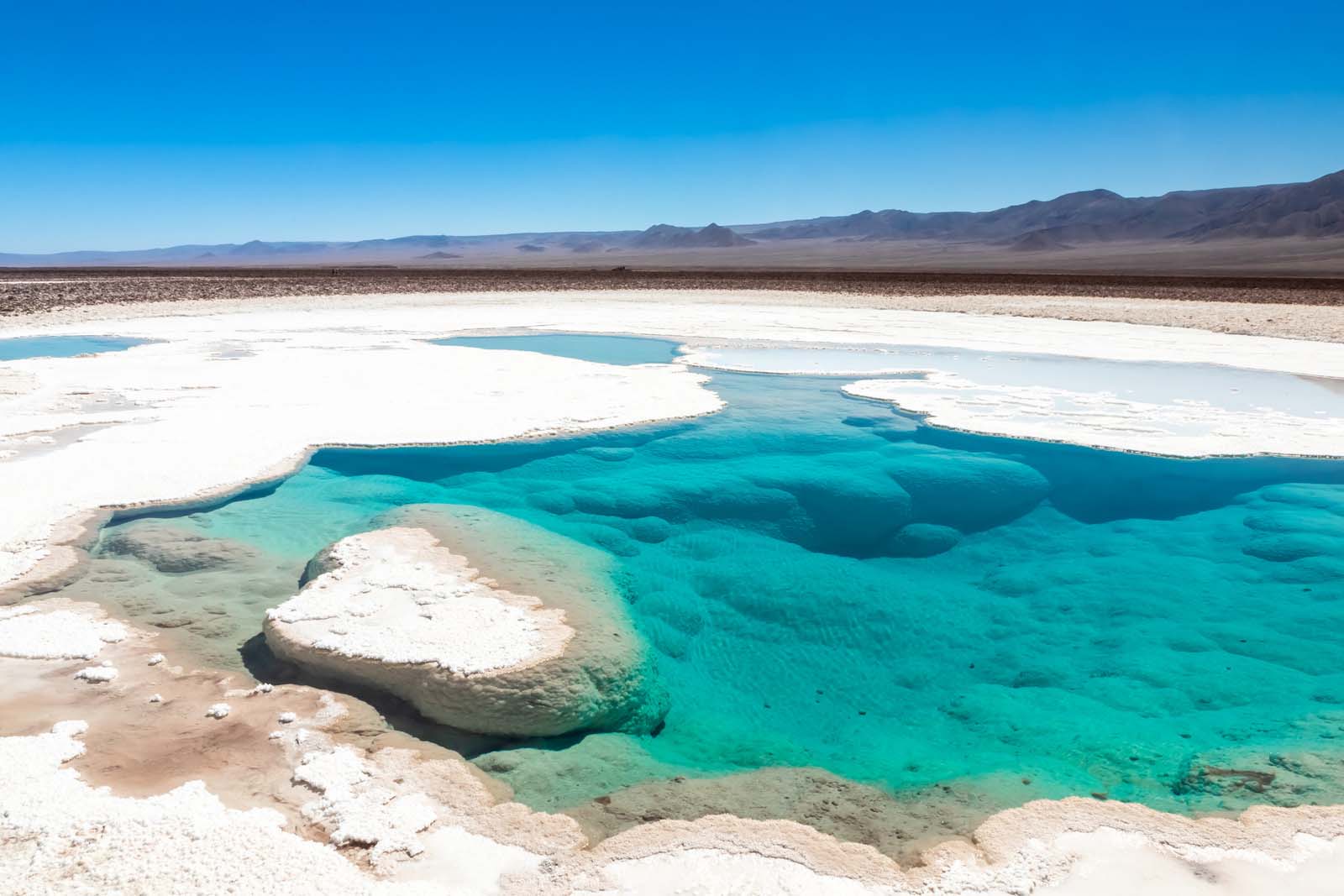 Baltinache Lagoons | Atacama Desert | Chile