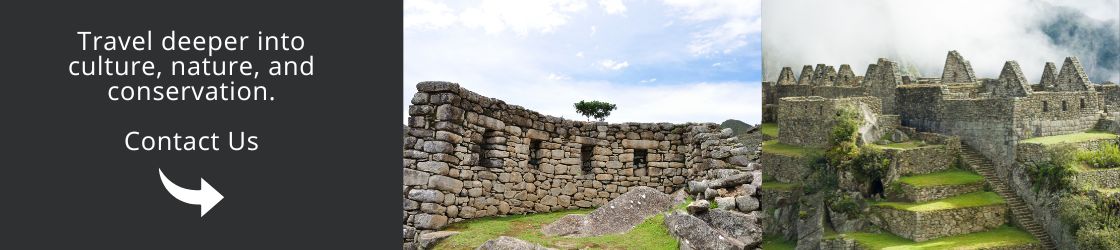 Travel deeper into culture, nature, and conservation. Contact Us