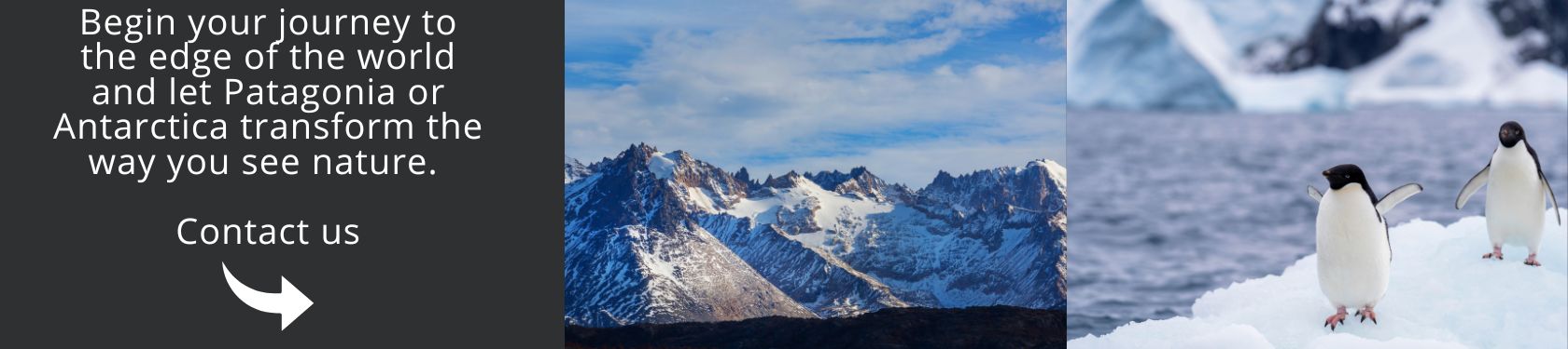 Begin your journey to the edge of the world and let Patagonia or Antarctica transform the way you see nature