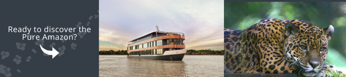 Come and travel in a luxury vessel with us!