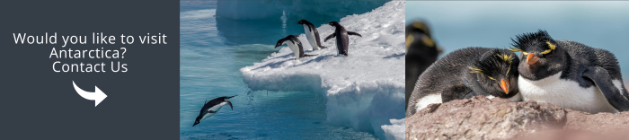Come and visit Antarctica with us!