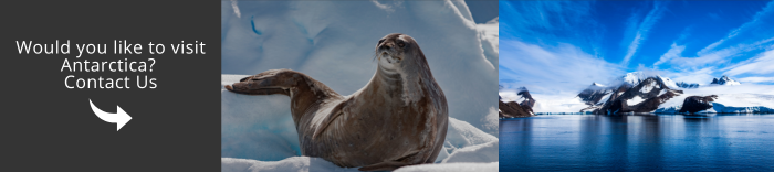 Come and visit Antarctica with us!