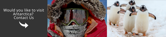 Come and visit Antarctica with us!