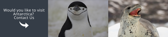 Come and visit Antarctica with us!