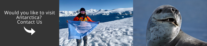 Come and visit Antarctica with us!