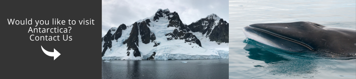 Come and visit Antarctica with us!