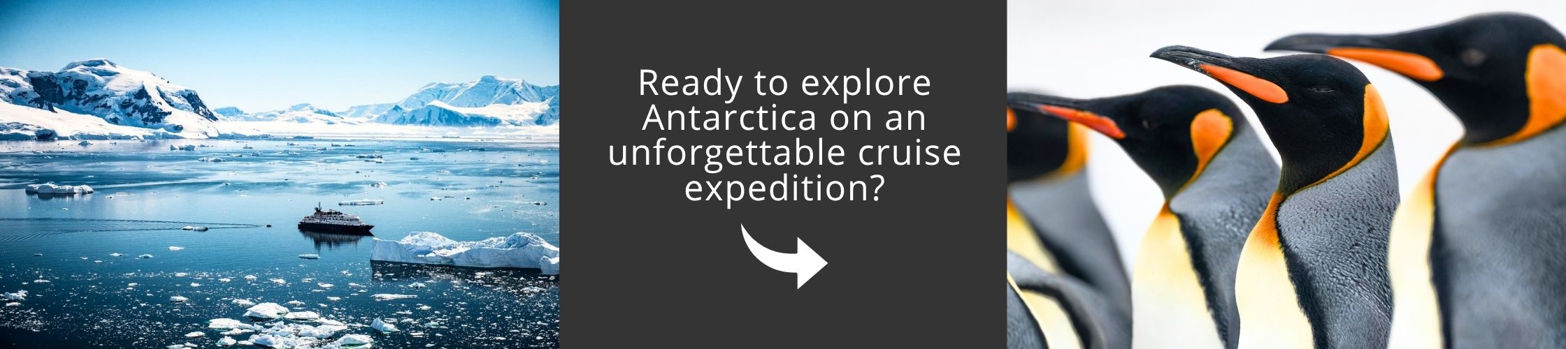 Explore Antarctica on an unforgettable cruise—discover wildlife, лед glaciers, and exclusive expedition experiences today