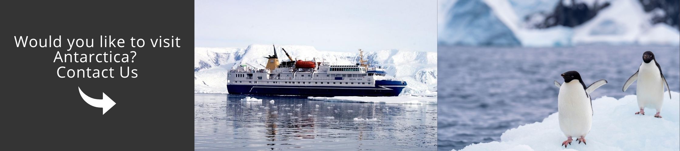 Discover Antarctica faster and smarter with exclusive fly and cruise expedition experiences