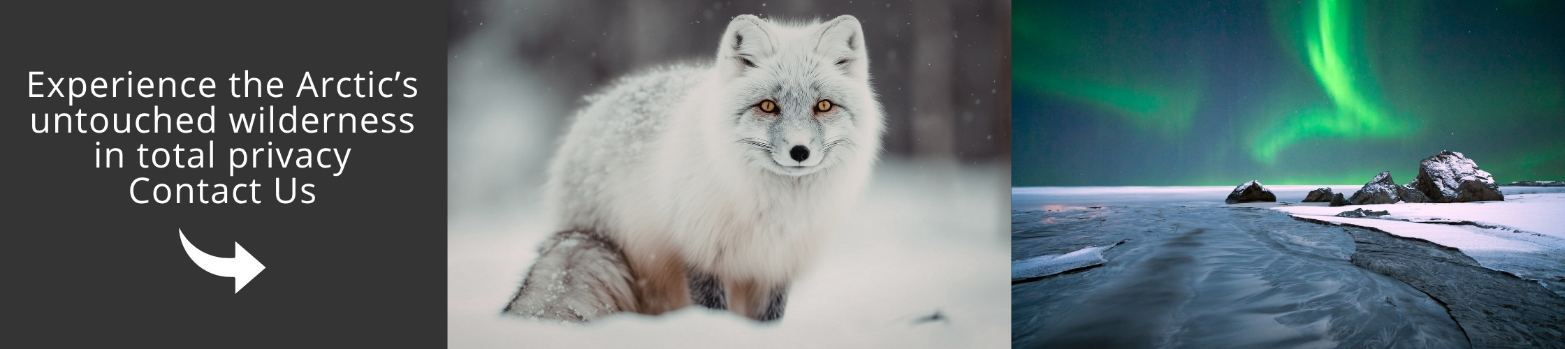 Plan your Arctic expedition cruise with expert guidance. Contact us to design your exclusive small-ship polar journey and explore remote landscapes in total comfort.