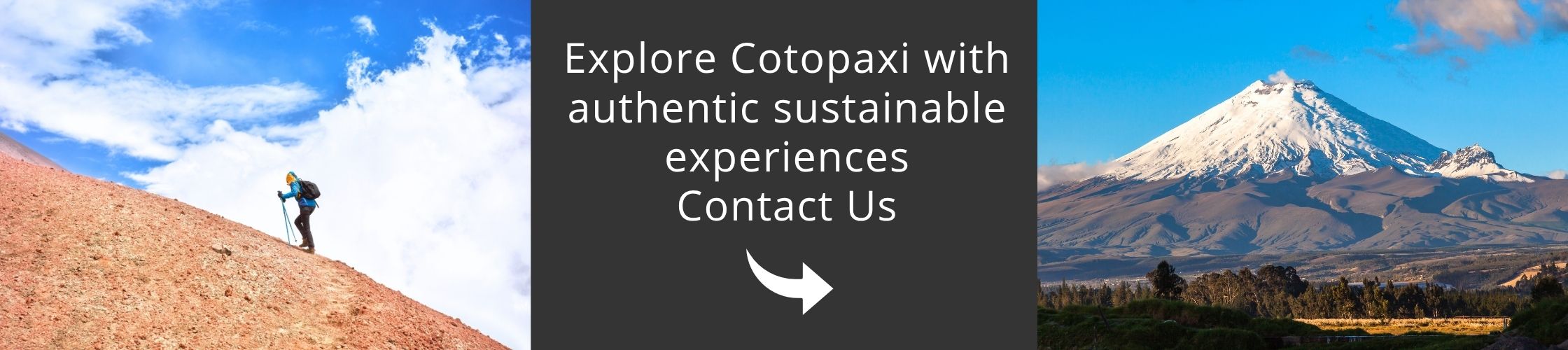 Cotopaxi | Ecuador | Andes