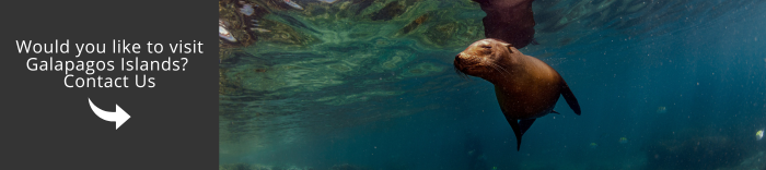 Come and visit Galapagos with us!