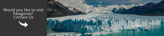 Come and visit Patagonia with us!